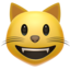 grinning cat Emoji on Apple, iOS