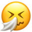 sneezing face Emoji on Apple, iOS