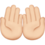 palms up together Emoji on Apple, iOS