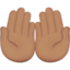 palms up together Emoji on Apple, iOS