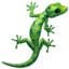 lizard Emoji on Apple, iOS