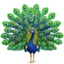 Emoji de pavo real en Apple, iOS