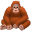 orangutan Emoji on Apple, iOS