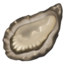 oyster Emoji on Apple, iOS