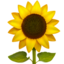 Emoji de girasol en Apple, iOS