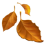 fallen leaf Emoji on Apple, iOS