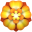 rosette Emoji on Apple, iOS