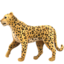 leopard Emoji on Apple, iOS