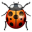 lady beetle Emoji on Apple, iOS