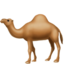 camel Emoji on Apple, iOS