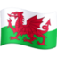 flag: Wales Emoji on Facebook