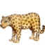 leopard Emoji on Facebook