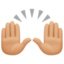 raising hands Emoji on Facebook