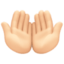 palms up together Emoji on Facebook