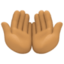 palms up together Emoji on Facebook