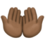 palms up together Emoji on Facebook