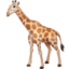 giraffe Emoji on Facebook