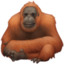 Emoji de orangután en Facebook