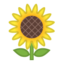 sunflower Emoji on Android, Google