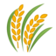 ear Emoji on Android, Google