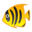 fish Emoji on Android, Google