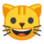 Emoji de cara de gato en Android, Google