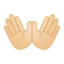 open hands Emoji on Android, Google