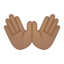 open hands Emoji on Android, Google