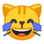 cat with tears of joy Emoji on Android, Google