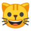 grinning cat Emoji on Android, Google