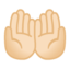 palms up together Emoji on Android, Google