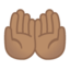 palms up together Emoji on Android, Google