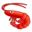 shrimp Emoji on Android, Google