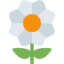 ツイッターの花絵文字