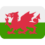 flag: Wales Emoji on Twitter