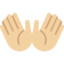 open hands Emoji on Twitter